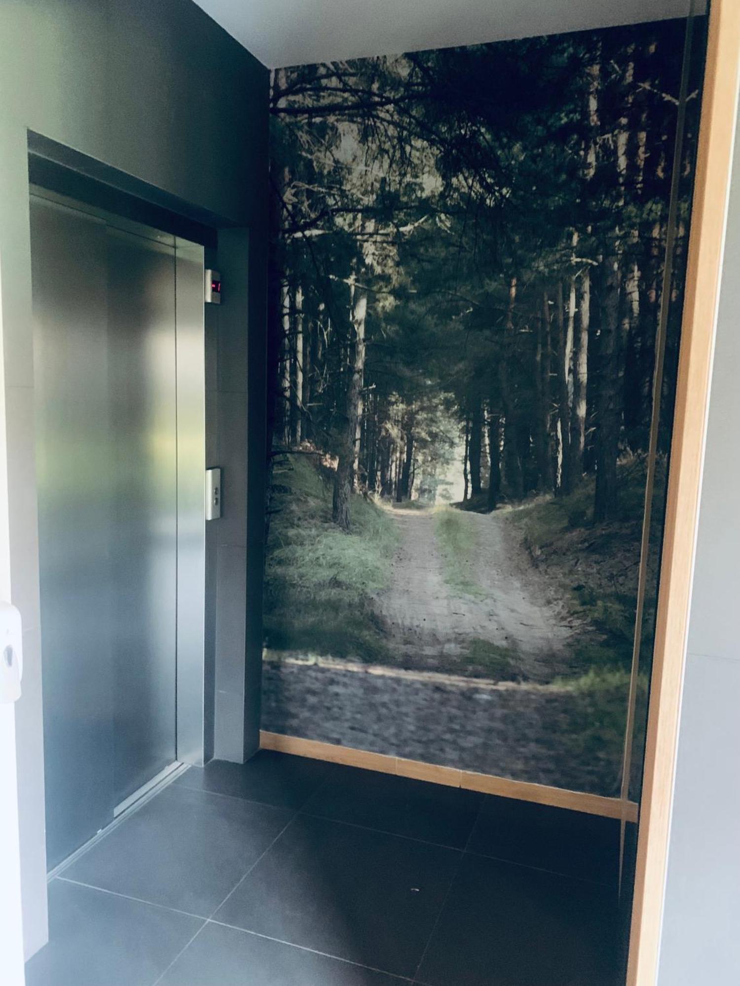 Apartament Sosnowy Zakatek Stary Toruń Exteriér fotografie